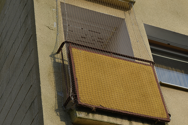 Siatki na balkon przeciw gołębiom w Toruniu