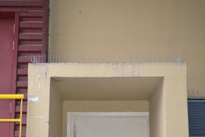 Montaż kolców przeciw gołębiom