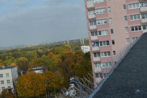 Ochrona przed ptakami za pomocą kolców - Poznań