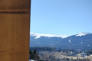 Montaż kolców na gołębie - Szklarska Poręba